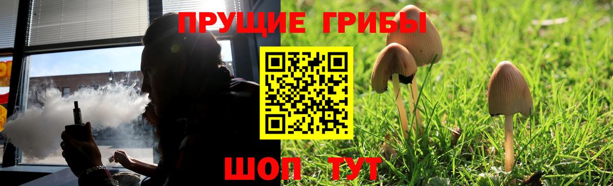 Псилоцибиновые грибы мицелий  Вход с VPN  Курчатов 